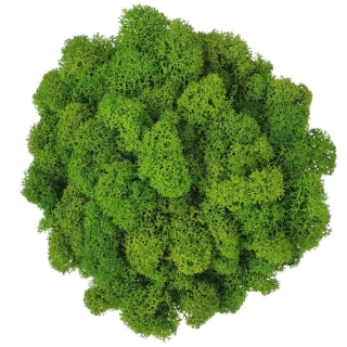 Mach stabilizovaný izlandský 50g